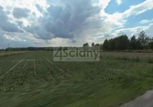 Działka 4 900,00 m², Sokołów, Sprzedaż