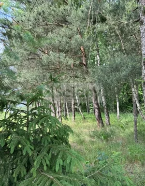 Działka 1 520,00 m², Stara Wieś, Sprzedaż