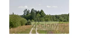 Działka 3 145,00 m², Strzeniówka, Sprzedaż