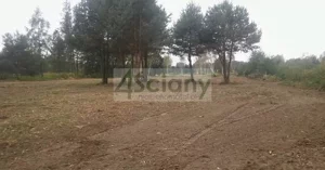 Działka 9 385,00 m², Strzeniówka, Sprzedaż