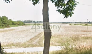 Działka 135 000,00 m², Święcice, Sprzedaż
