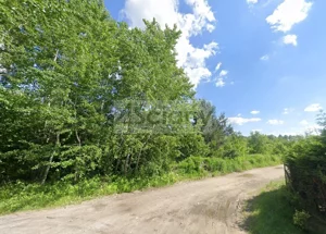 Działka 8 463,00 m², Szczęsne, Sprzedaż