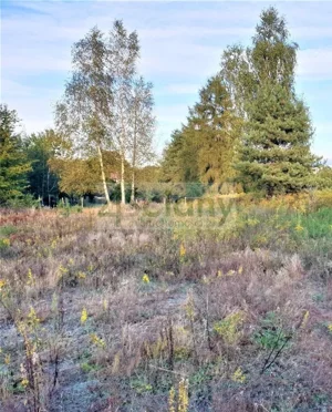 Działka 1 604,00 m², Szczęsne, Sprzedaż