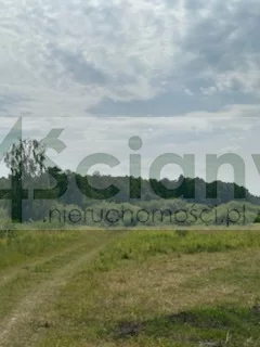 Działka 2 176,00 m², Wolica, Sprzedaż