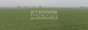Działka 1 100,00 m², Wolica, Sprzedaż