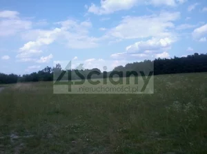 Działka 10 200,00 m², Zakroczym, Sprzedaż