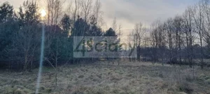 Działka 1 446,00 m², Żelechów, Sprzedaż