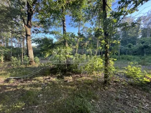 Działka 7 600,00 m², Złotokłos, Sprzedaż