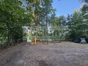 Działka 3 800,00 m², Złotokłos, Sprzedaż