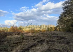 Działka 2 506,00 m², Żółwin, Sprzedaż