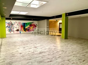 Lokal użytkowy 384,00 m², Pruszków, Sprzedaż