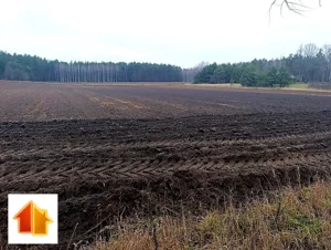 Działka 3 694,00 m², Gorędy, Sprzedaż