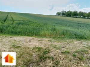 Działka 5 008,00 m², Grodzisko Dolne, Sprzedaż