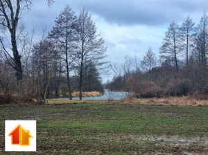 Działka 8 700,00 m², Bodzanów, Kępska, Sprzedaż