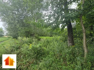 Działka 9 300,00 m², Siecień-Rumunki, Sprzedaż