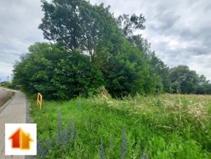 Działka 3 000,00 m², Tetyń, Sprzedaż