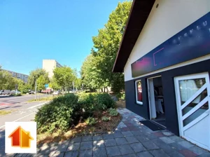 Lokal użytkowy 100,00 m², Żory, Osiedle Księcia Władysława, Sprzedaż
