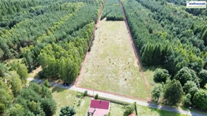 Działka 25 500,00 m², Łęki Szlacheckie, Sprzedaż