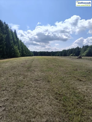 Działka 20 200,00 m², Paradyż, Sprzedaż