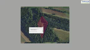Działka 3 200,00 m², Paradyż, Sprzedaż