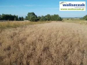 Działka 13 900,00 m², Ręczno, Sprzedaż