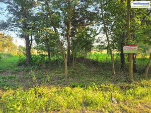 Działka 1 887,00 m², Sulejów, Sprzedaż