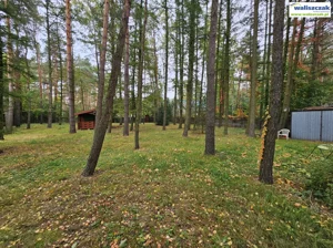 Działka 1 568,00 m², Tuszyn, Sprzedaż