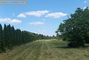 Działka 39 756,00 m², Nowe Wrońska, Sprzedaż