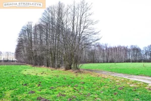 Działka 16 900,00 m², Stare Zambski, Sprzedaż