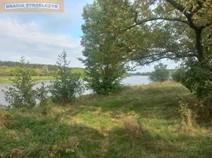 Działka 2 500,00 m², Zambski Kościelne, Sprzedaż