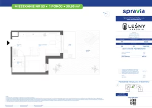 1 pokój, mieszkanie 30,95 m², parter, oferta nr 28/53, Leśny Marcelin, Poznań, Grunwald, Junikowo, ul. Jeleniogórska
