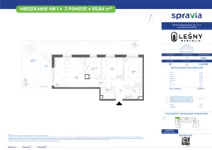 3 pokoje, mieszkanie 65,84 m², parter, oferta nr 28/1, Leśny Marcelin, Poznań, Grunwald, Junikowo, ul. Jeleniogórska