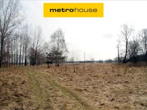Działka 65 100,00 m², Arkadia, Sprzedaż