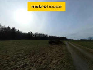 Działka 10 000,00 m², Bolesławice, Sprzedaż