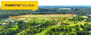 Działka 117 645,00 m², Borowina, Sprzedaż
