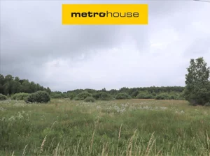 Działka 225 800,00 m², Buczek, Sprzedaż