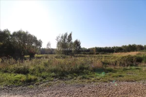 Działka 2 452,00 m², Budy Głogowskie, Sprzedaż
