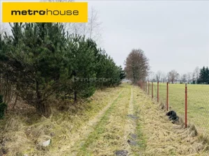 Działka 5 098,10 m², Budy Wolskie, Sprzedaż