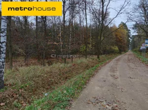 Działka 8 200,00 m², Chechło Drugie, Sprzedaż