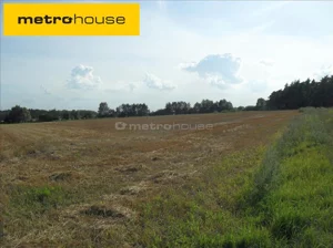 Działka 6 152,00 m², Chodzież, Sprzedaż