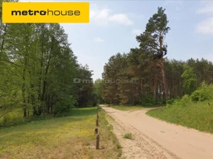 Działka 1 465,00 m², Choinek, Sprzedaż