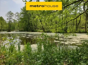 Działka 1 478,00 m², Choinek, Sprzedaż