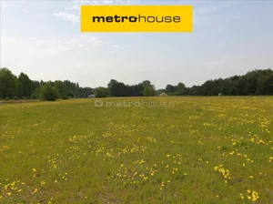 Działka 1 233,00 m², Choinek, Sprzedaż