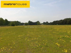 Działka 1 500,00 m², Choinek, Sprzedaż