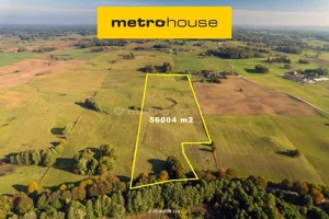 Działka 58 868,00 m², Choszczewo, Sprzedaż