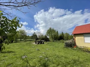 Działka 10 764,00 m², Chrzęsne, Sprzedaż