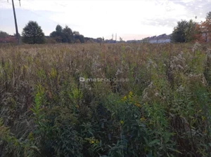 Działka 2 319,00 m², Chylice, Sprzedaż