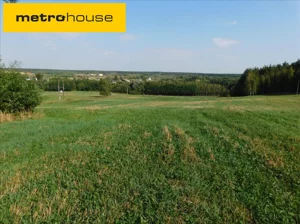 Działka 40 000,00 m², Ciechocin, Sprzedaż