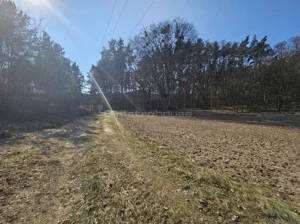 Działka 3 728,00 m², Brzoza, Ciechocińska, Sprzedaż