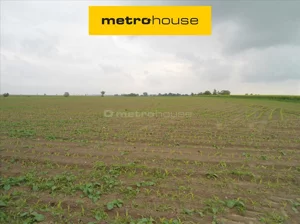Działka 25 565,00 m², Czarne Piątkowo, Sprzedaż